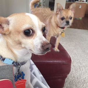 Meet your Posher, Rachael